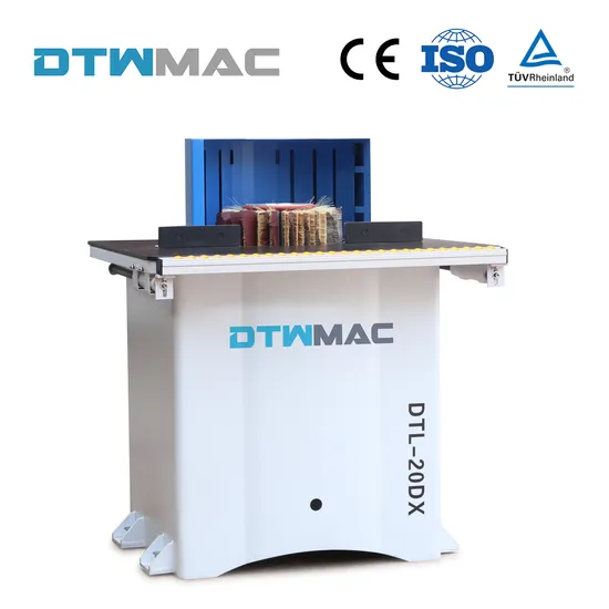 Dtwmac Woodworking Machinery Electric Wood Polishing Machine for Furniture Sanding