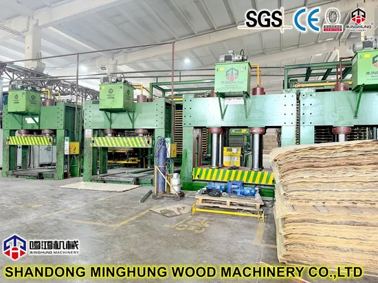 Hydraulic Woodworking Cold Press Machine for Making Veneer Plywood 400t 500t 600t 800t