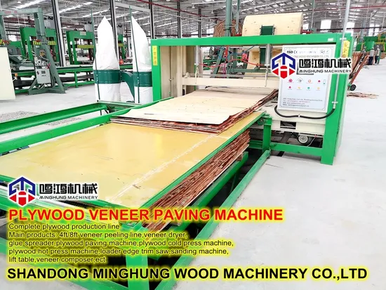 Plywood Making Machine Core Veneer Assemly Lay-out Machine Line with 24/30m Conveyor