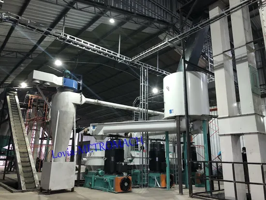 Birch Wood Pellet Press Machines Rubber Wood Pellet Mill