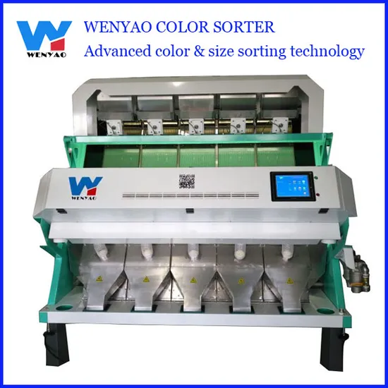 CCD Camera Pet Bottle Flakes Color Sorter Plastic Recycling Sorting Machine