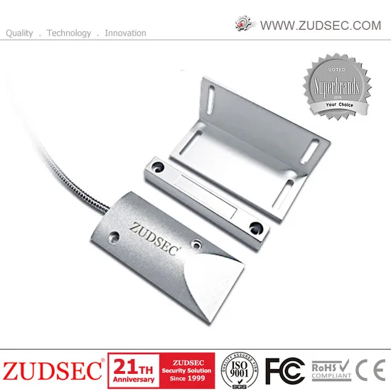 Magnetic Contacts Magnetic Switch for Door Contact
