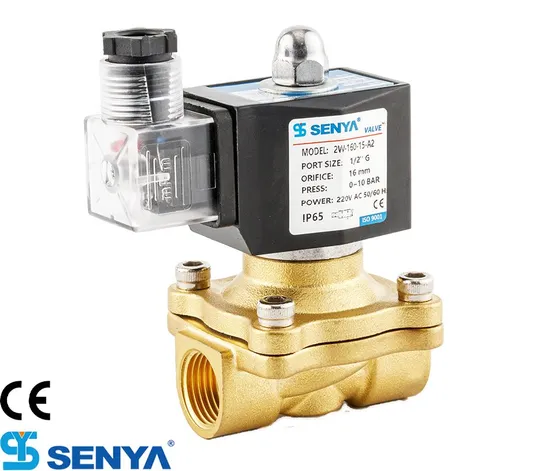 Low Price 1 Inch 2 Way DC 24V AC 220V Normally Closed Brass 2W-250-25 Solenoid Valve for Water 5% off