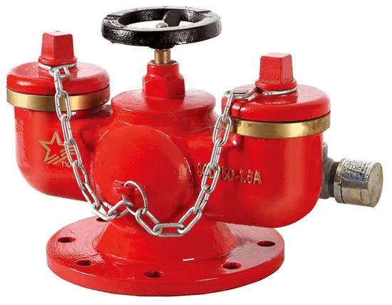 Sqd100-1.6A Underground Multifunctional Fire Pump Connector, Water Pump Connector