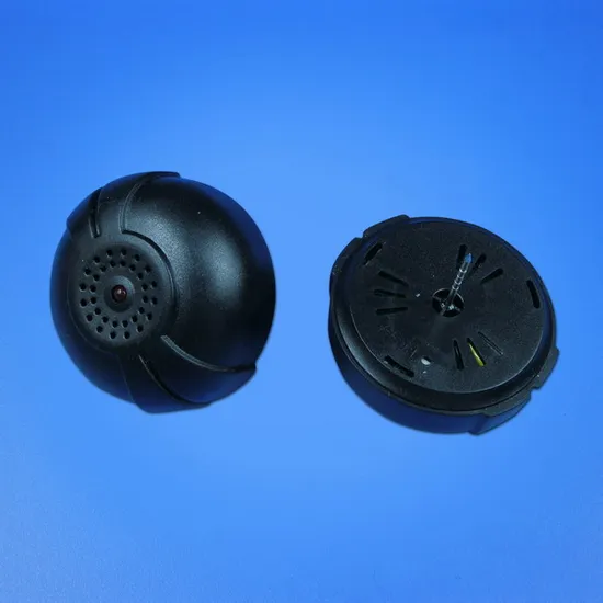 EAS Hard Tag Self-Alarm Tag EAS Product