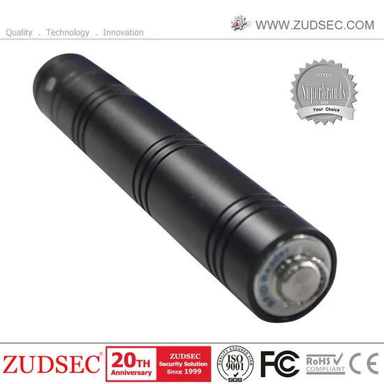Economic RFID Guard Tour System