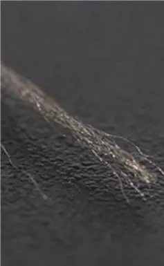 DTY 40d 100% Silver Coated Nylon Draw Anti-Bacteria Breathable Foldable Radiation-Resistant Yarn