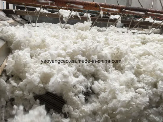 Ball Fiber Hollow Conjugated Silicion