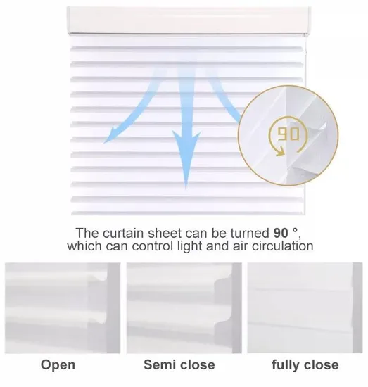 Alexa Control Electric Triple Shade Sheer Blinds
