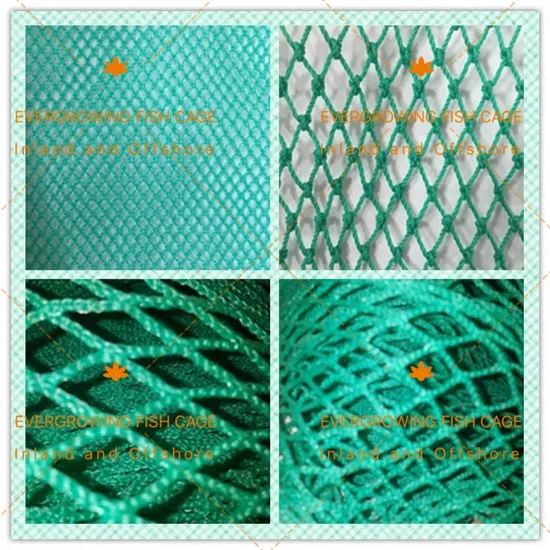 Floating Aquaculture Fish Cage Net PE