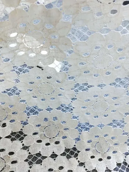 Hot Sale off-White Chemical Embroidery Lace Fabric for Party Dress