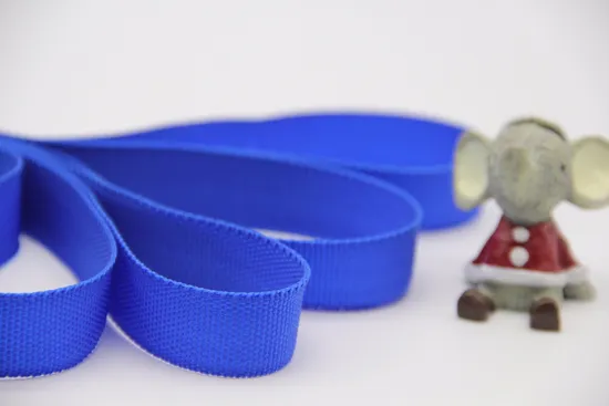 Solid Color PP Webbing Tape