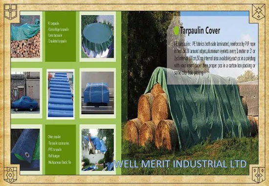 All Purpose PE Tarpaulin Cover Tarp Poly Tarp Tarpaulin PE Tarpaulin