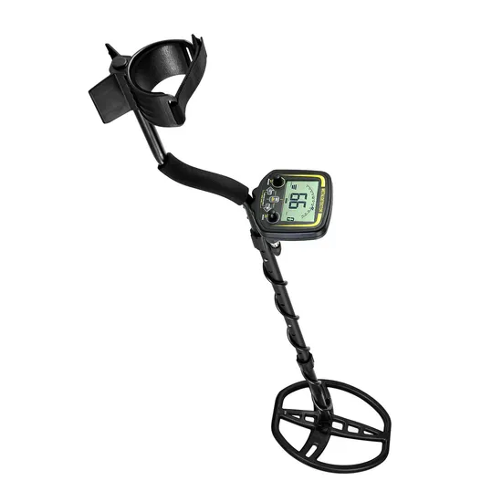 Best Walk Through Long Range Metal Detector for Gold