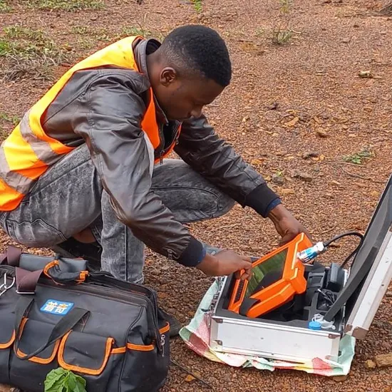 Pqwt-Gt Advanced Geophysical Detector for Mine Exploration