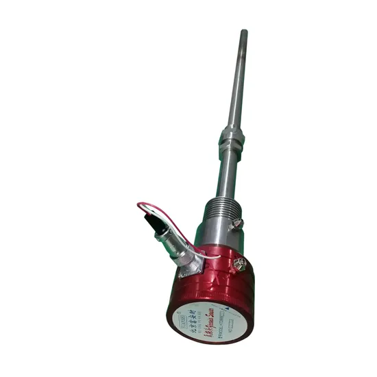 China Fuanshi Precision Oxygen Probe Meter for Reliable O2 Detection