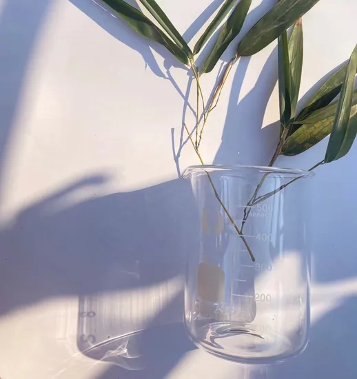 Multipurpose 100ml Borosilicate Beaker, Laboratory Standard