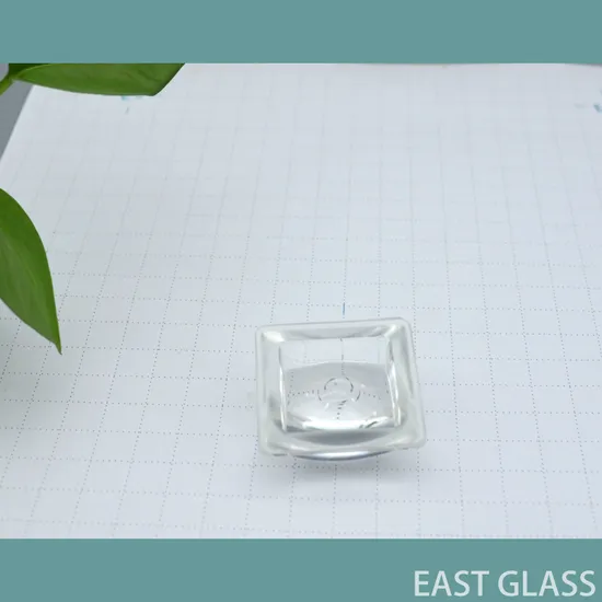 China Factory Direct Supplier OEM Optical Lens-11