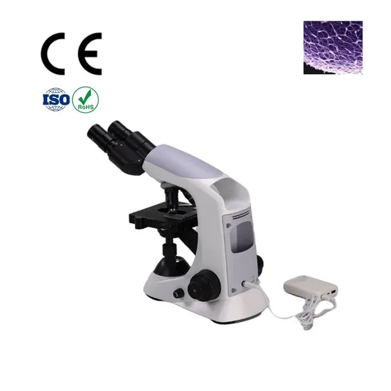 Binocular LED 40X-2000X Medical Biological Microscope with Elegant Design