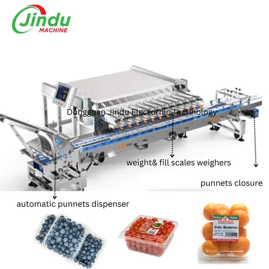 Automatic Blueberry Cherry Tomato Weighting & Filling Packing Machine
