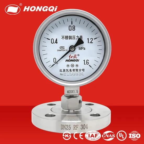 All Stainless Steel Flange Diaphragm Seal Pressure Gauge for Direct Installation