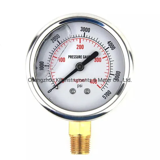 63mm Dial Stainless Steel Brass Movement and Inner Glycerine Oil Filled Pressure Gauge Manometer