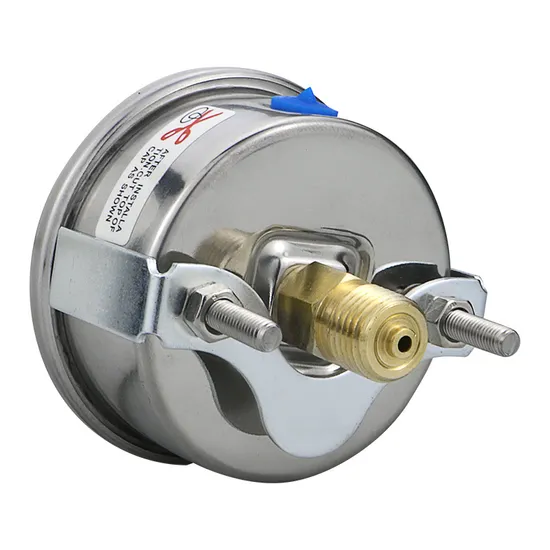 Factory 63mm Liquid Filling Presure Gauges Bourdon Tube with U-Clamp Fixed Trestle
