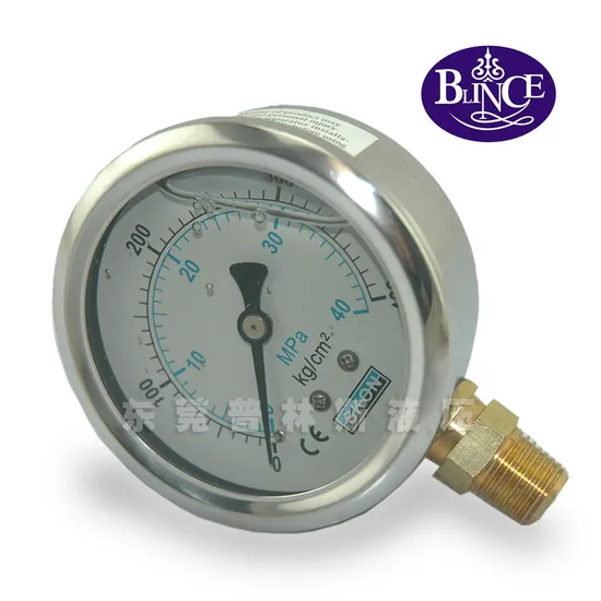 63mm (2.5") Oil Filled Pressure Gauge Yn63c