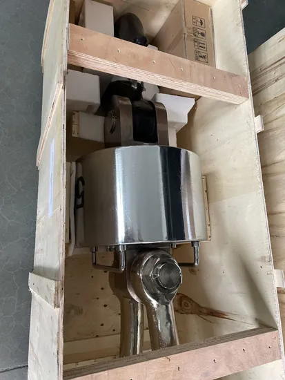 10t - 20t - 30t Industrial Weighing Crane Scale