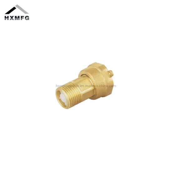 Brass Straight Thread Fitting Long Water Mater Tail with Check