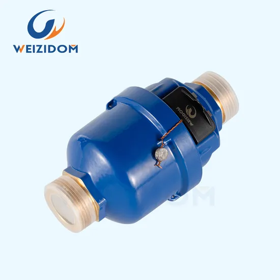 DN25 Brass Positive Displacement Cold Water Flow Meter BSPT/NPT Dual Thread Class B Industrial Strength Watermeter