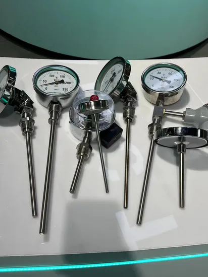Wssx Series Armored Bimetal Temperature Gauge with Hot Jacket Electric Contact Thermometer