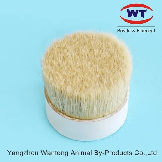 Premium Chungking Natural Hog Bristle Brushes for Artisans