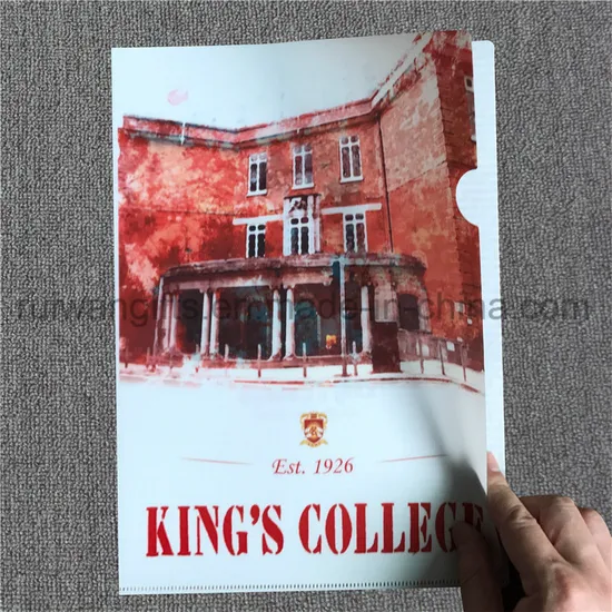 Custom Logo Printed Promotional A4 PP File Folders
