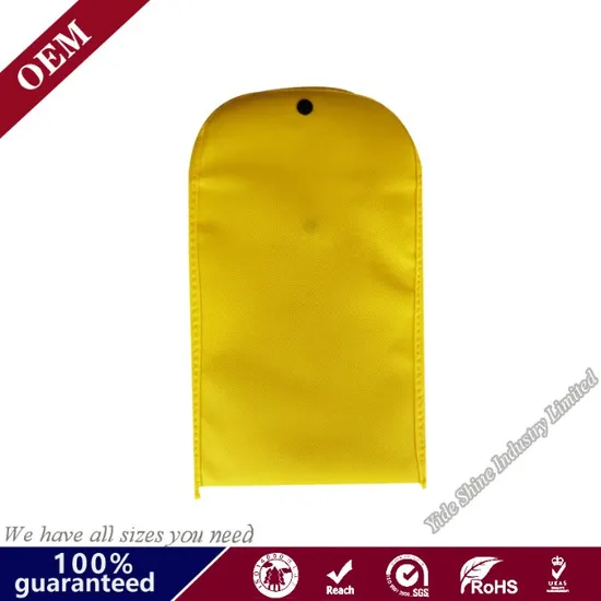 Document Bag