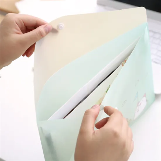 Cartoon Small Fresh PVC File Bag Information Bag Student Stationery