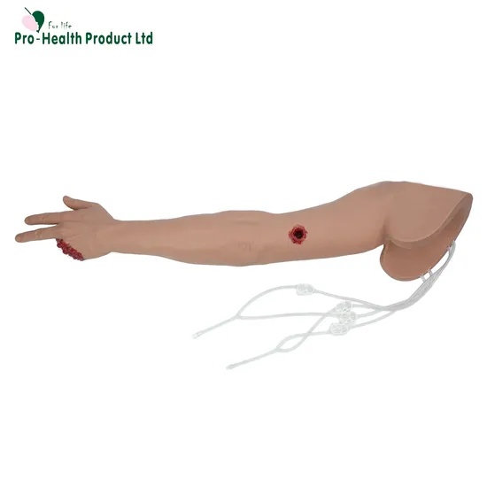 Stopping the Bleed Arm Trainer