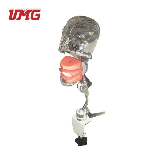 Simple Head Model High Quality Advanced Head Mold