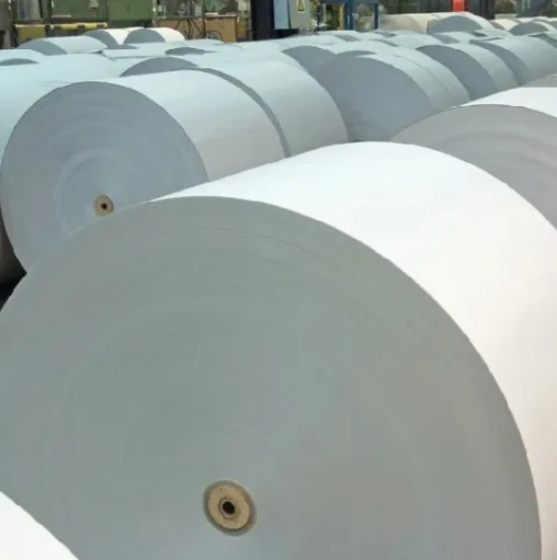 Premium Quality Thermal Paper Rolls for Receipt Printers
