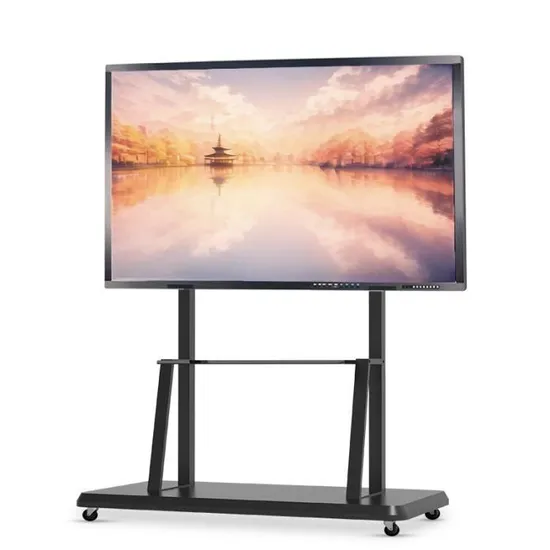 65 Inch Interactive Whiteboard Smart Board for School and Company