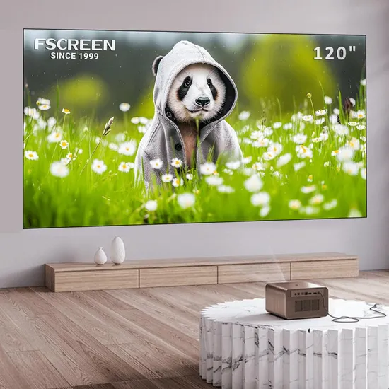 Fscreen Iris Series Long Throw Fresnel Alr Fixed Frame Projection Screen-120 Inch