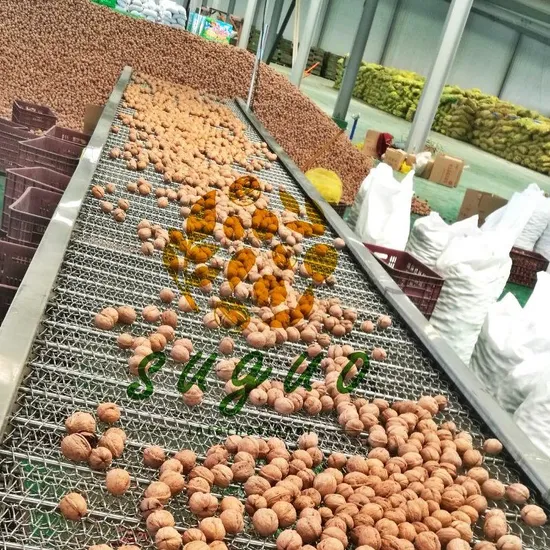 New Crop Harvest Walnut/Walnut in Shell / Walnut Kernel