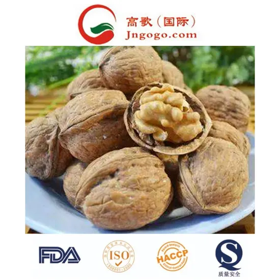 Dried Fruit Walnut in Shell with Chinese New Nut Crop