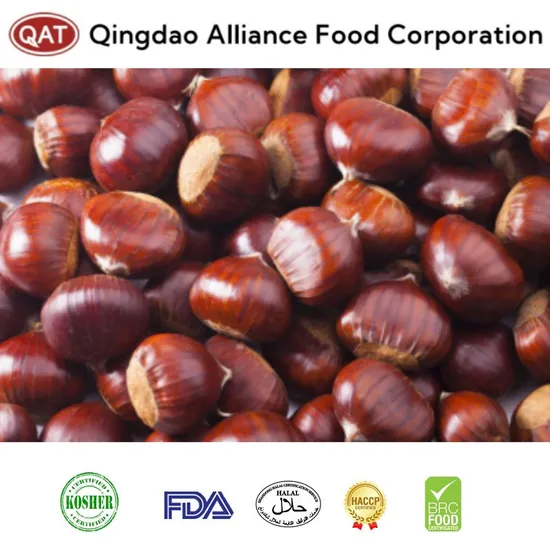 China New Crop Fresh Chestnut Whole for Exporting with FDA