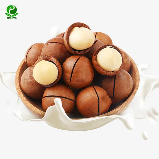 Macadamia Nuts in The Shell Hot Sale for Export at Best Prices