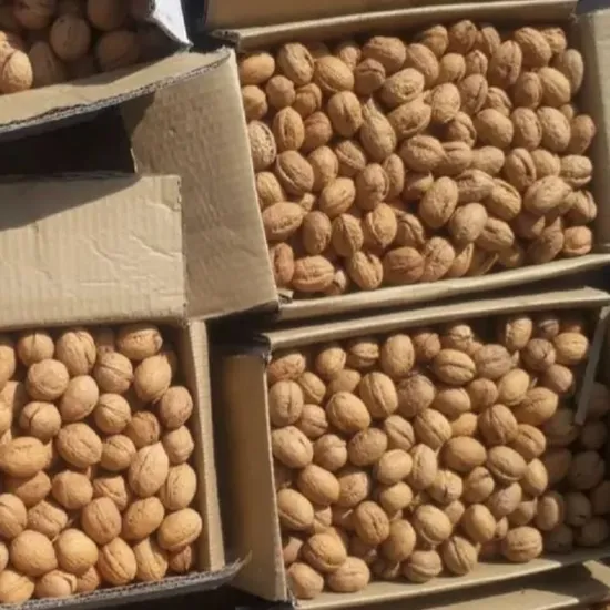 Factory Supply Wholesale Price Thin Shell Walnut