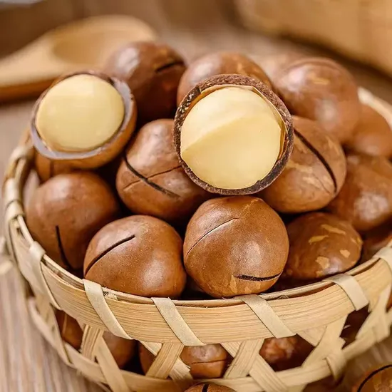 Macadamia Nuts in Natural Color Dried Food Wholesale Healthy Snack Raw Processed