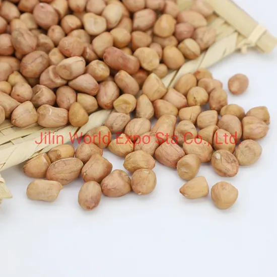 Wholesales Peanut Kernels Round Shape 80/100 to Export