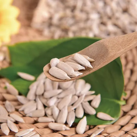 Confectionery Sunflower Kernels with Organic Sunflower Seed Kernels
