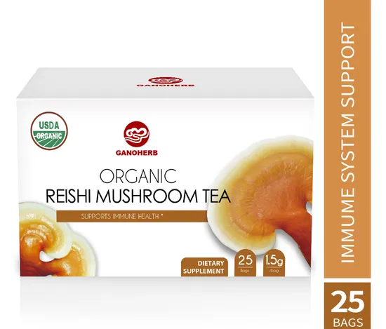 100% Organic Certified Ganoderma Reishi Mushroom Tea GMP Factory